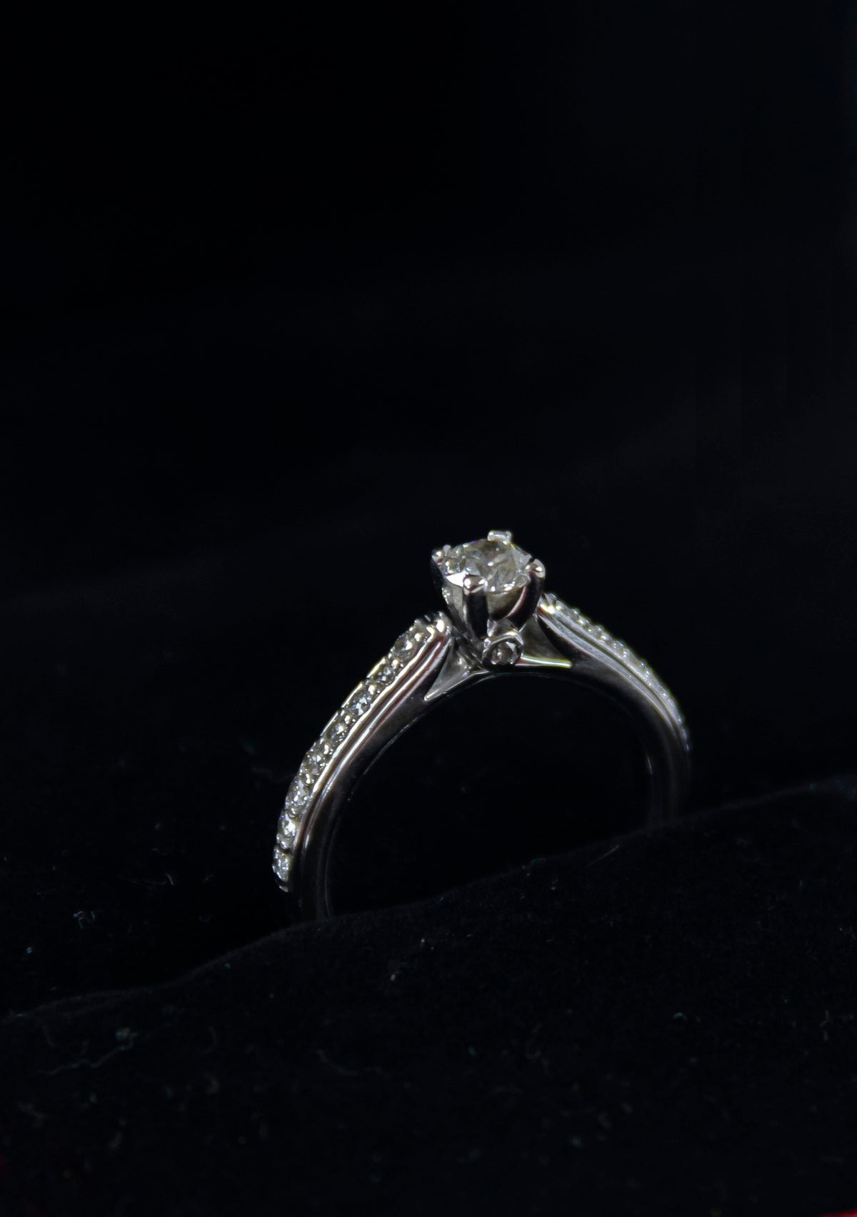 Solitaire diamond ring in white gold on black silk