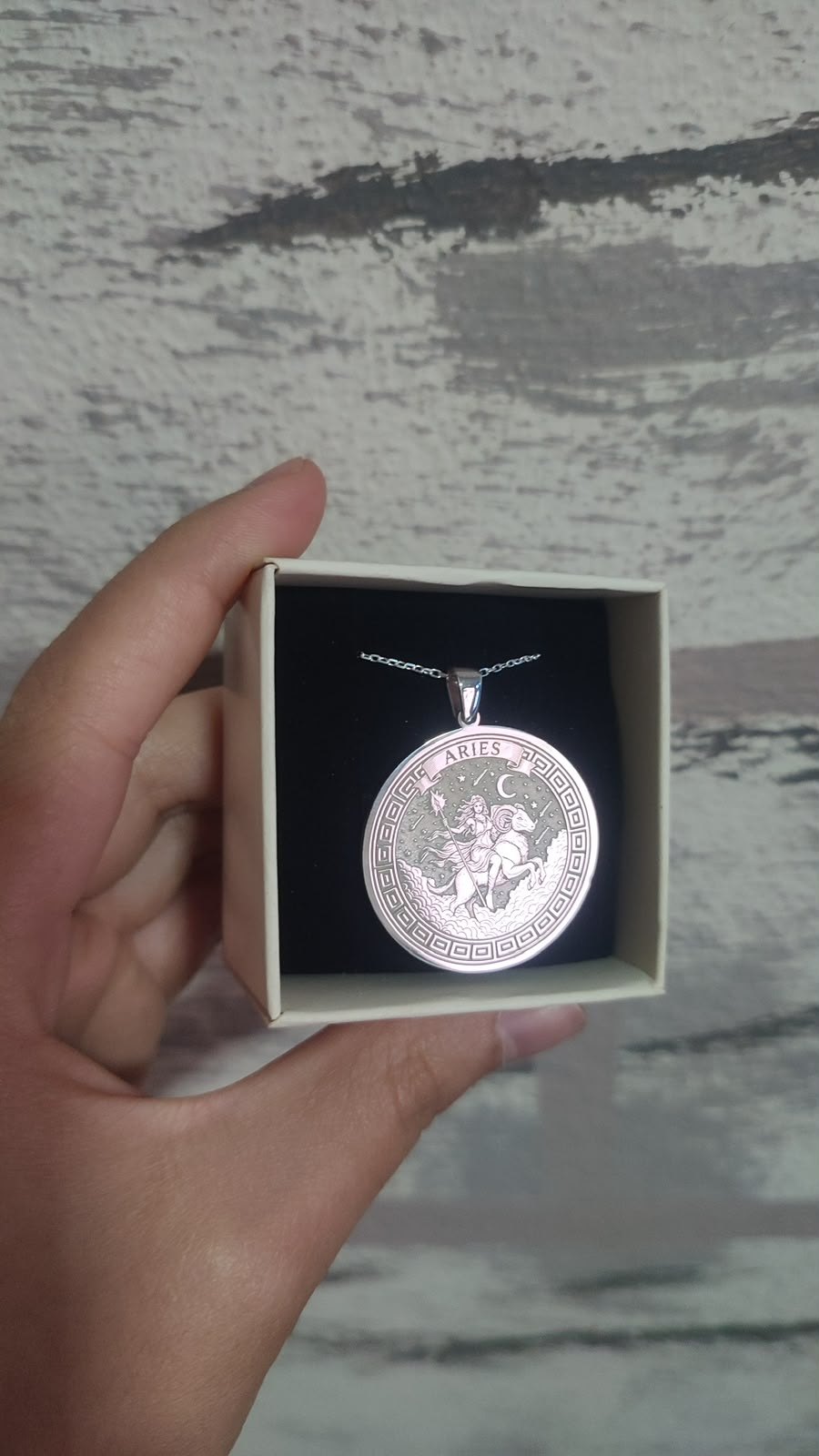 Aries zodiac necklace in silver
