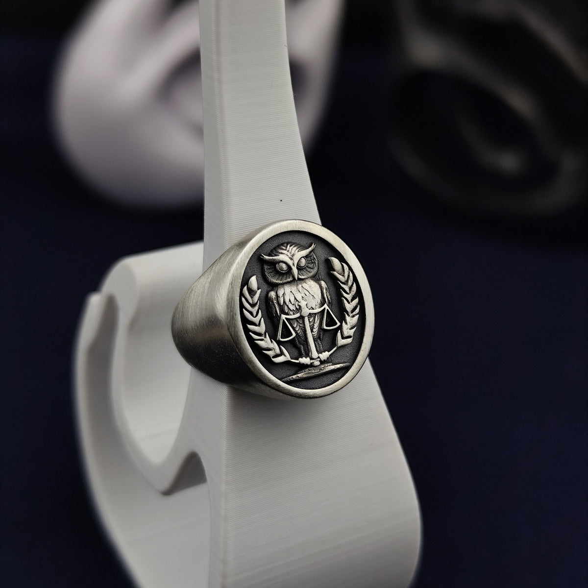 Sterling Silver 3D Owl Signet Ring – Raised Wisdom Symbol Bird Crest Jewelry Gift